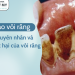 VÔI RĂNG - NGUYÊN NHÂN VÀ TÁC HẠI CỦA VÔI RĂNG